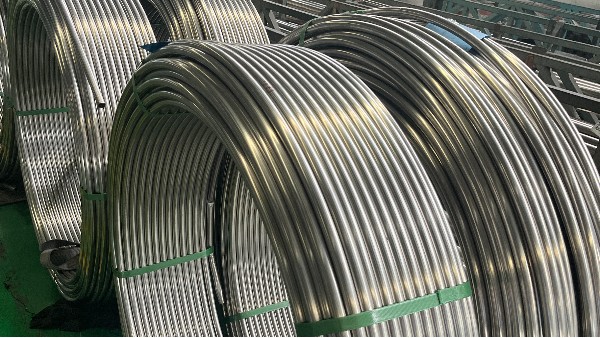 ����ֻ�������Ϊʲô��Ҫ�̹�