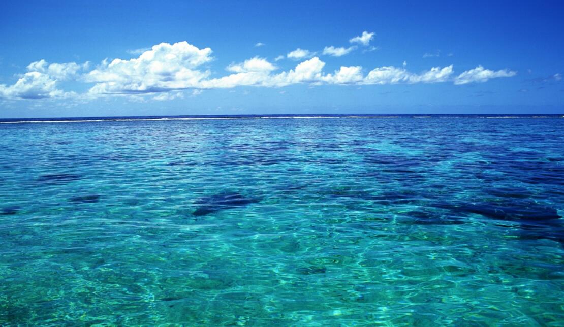 �������ڸ�ppm�¶Ⱥ�Ũ���µĸ�ʴѡ����ֲ���