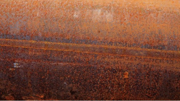 ����ֹ�����