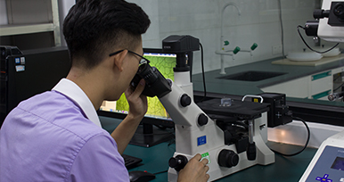 ������΢��